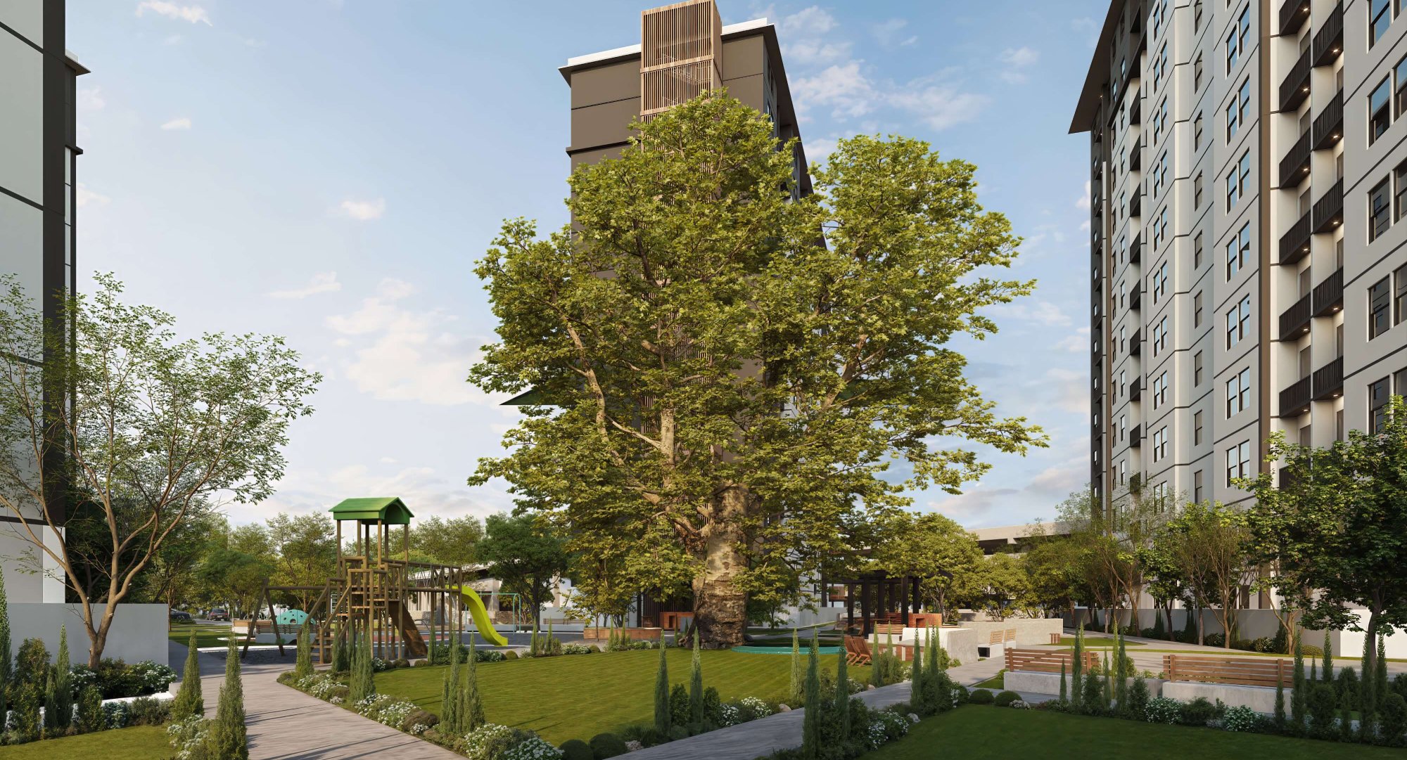 imagen-carousel-alone