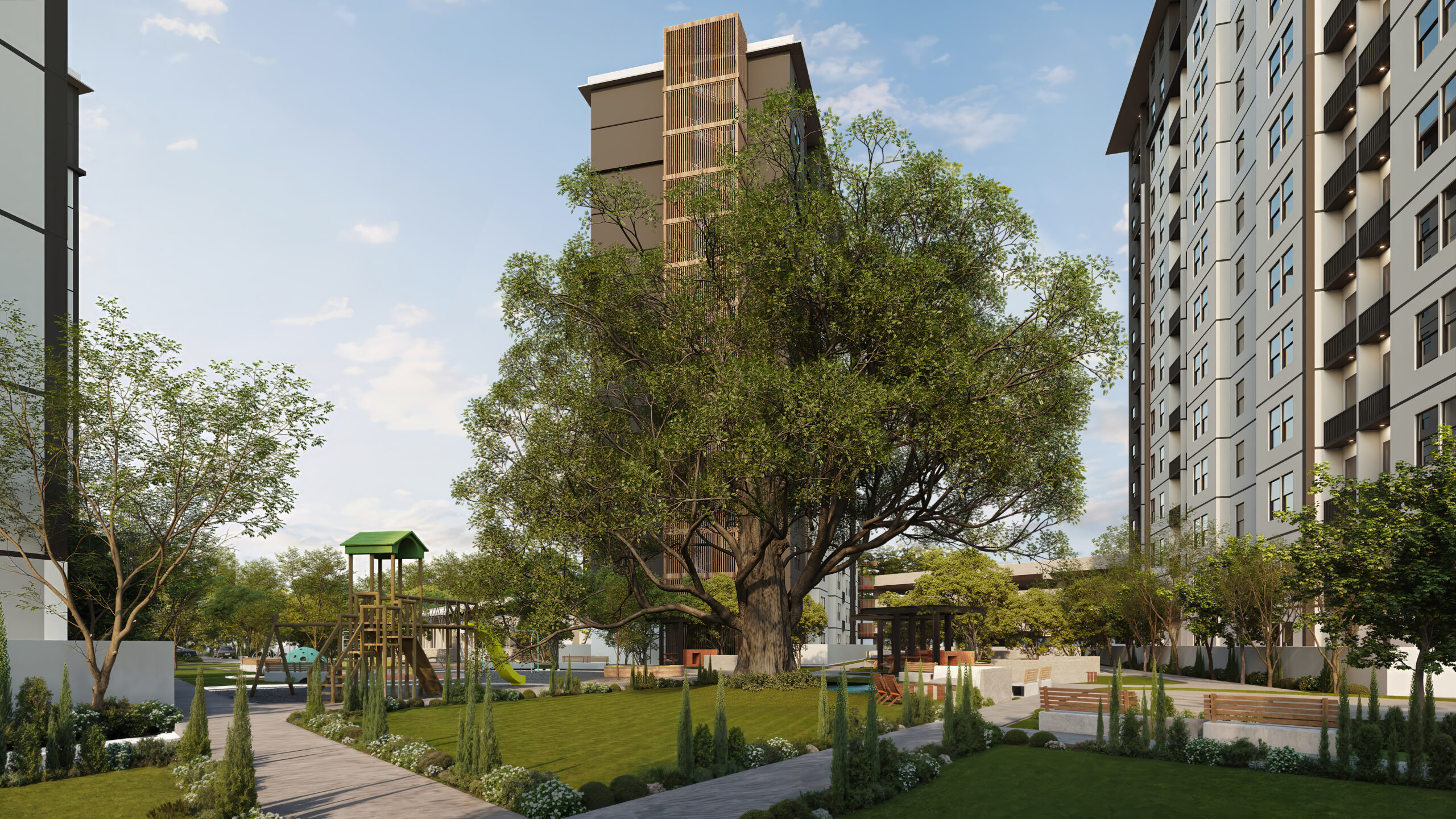 imagen-carousel-alone